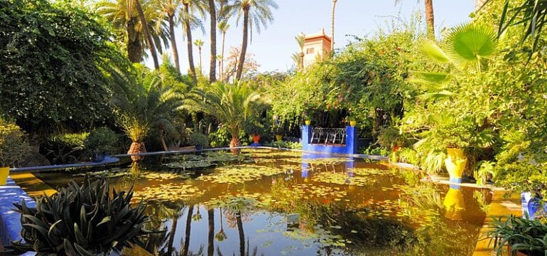 The Majorelle Garden in Marrakech Morocco