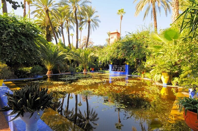 The Majorelle Garden in Marrakech Morocco