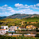 10 Hidden Wine Regions Around the World You Haven’t Heard Of