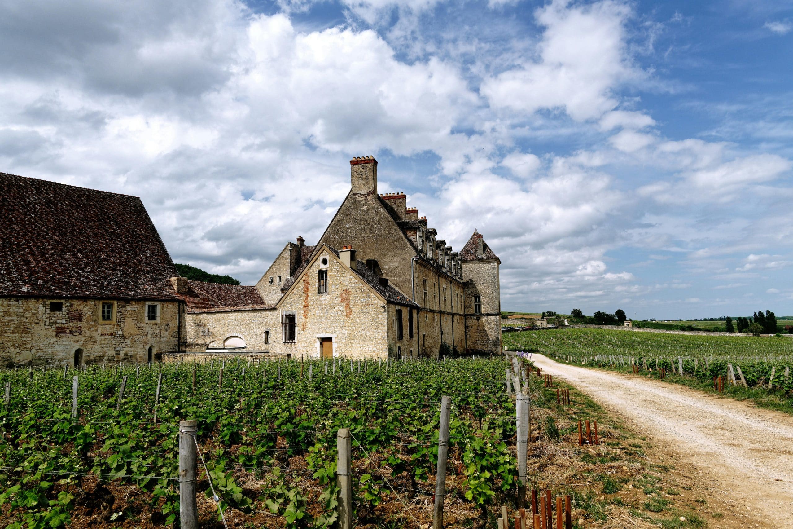 Best Wine Regions in Burgundy: A Slow Traveler’s Guide